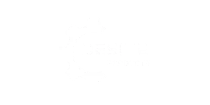 DeSite Products logo